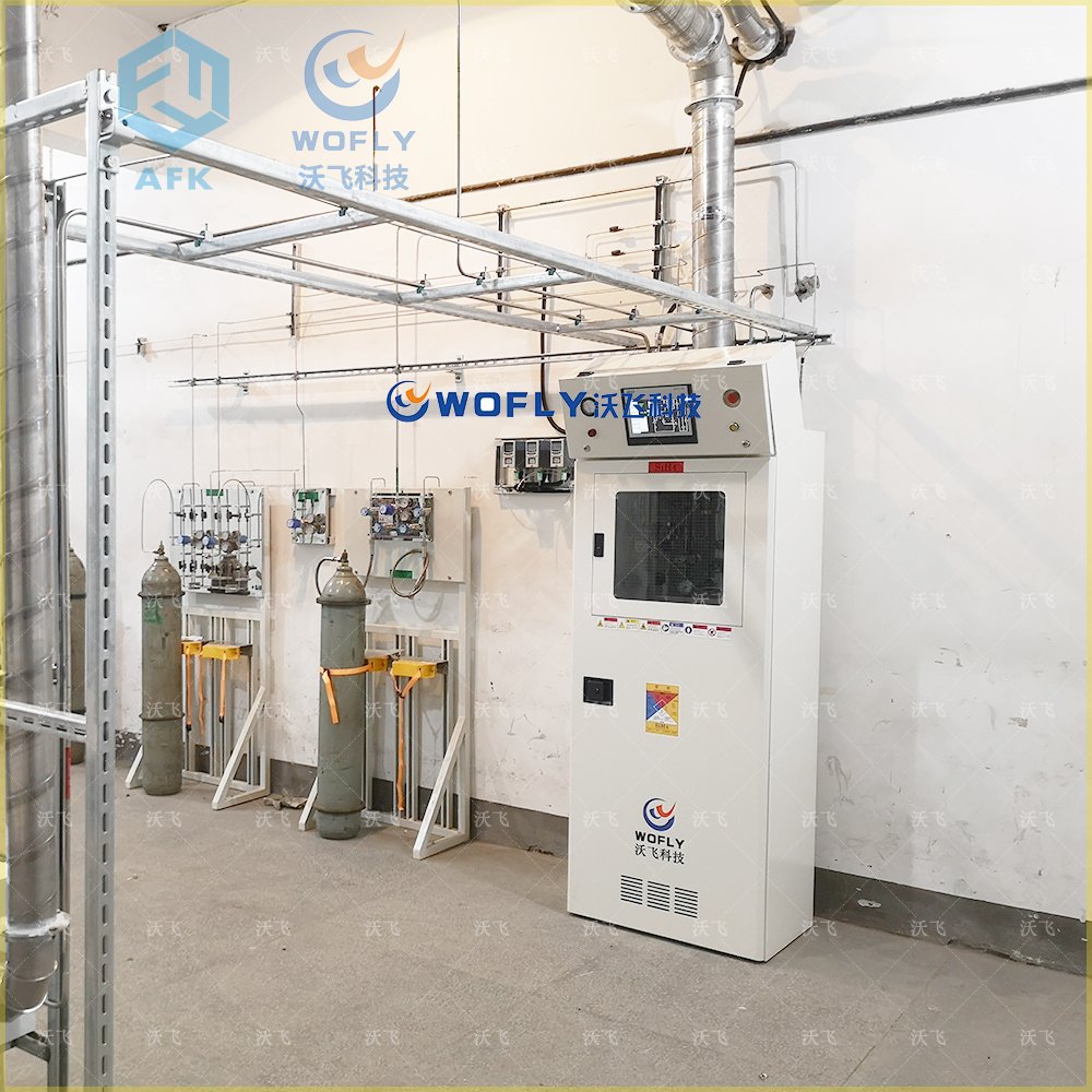 沃飛GC特氣柜 沃飛特氣柜