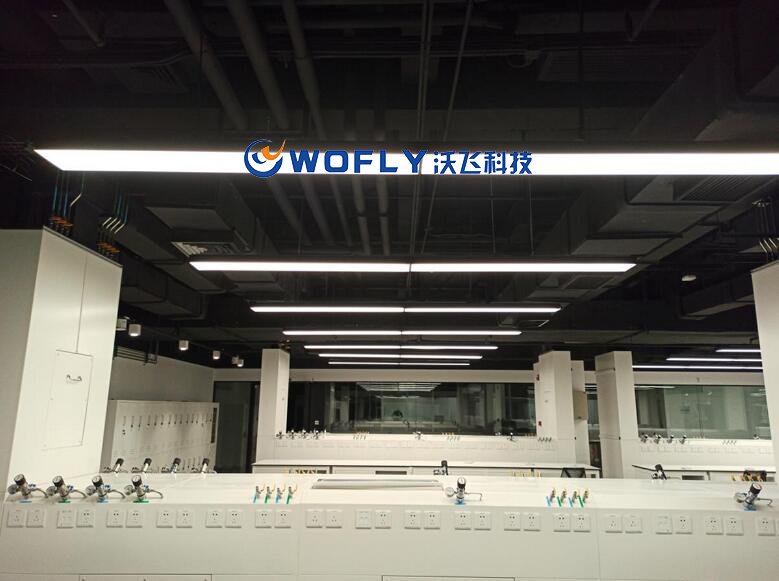 實驗室高純氣路系統(tǒng)