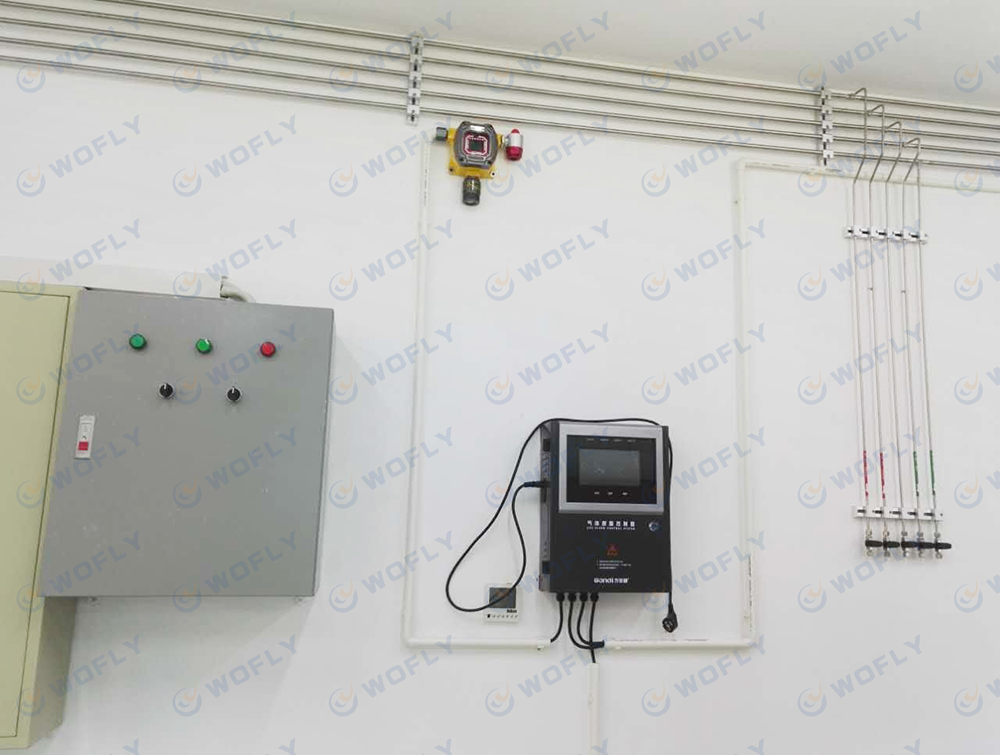 特氣系統(tǒng)氣體檢測(cè)報(bào)警裝置